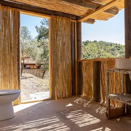 House Surrounded By Olive Grove In Seferihisar Βίλα
