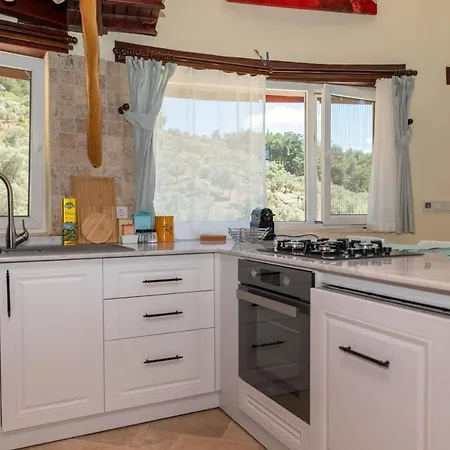 House Surrounded By Olive Grove In Seferihisar * Smirne