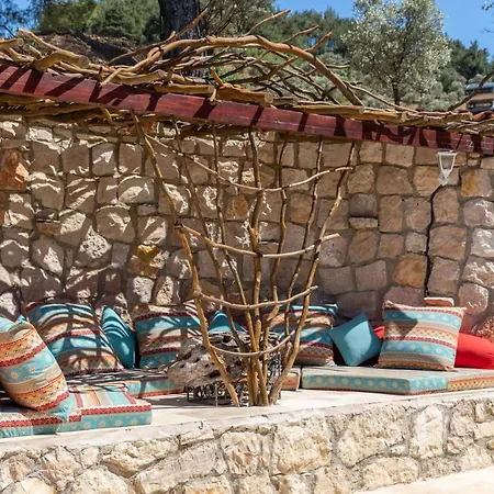 House Surrounded By Olive Grove In Seferihisar Villa